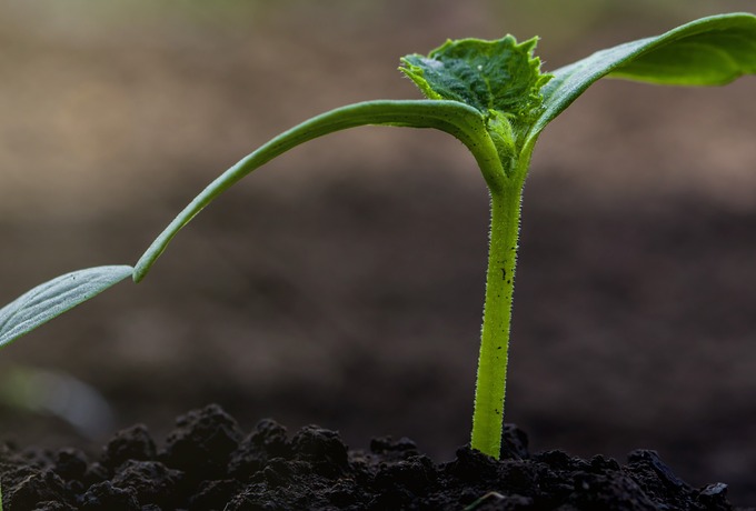 Soil, Science & Environment